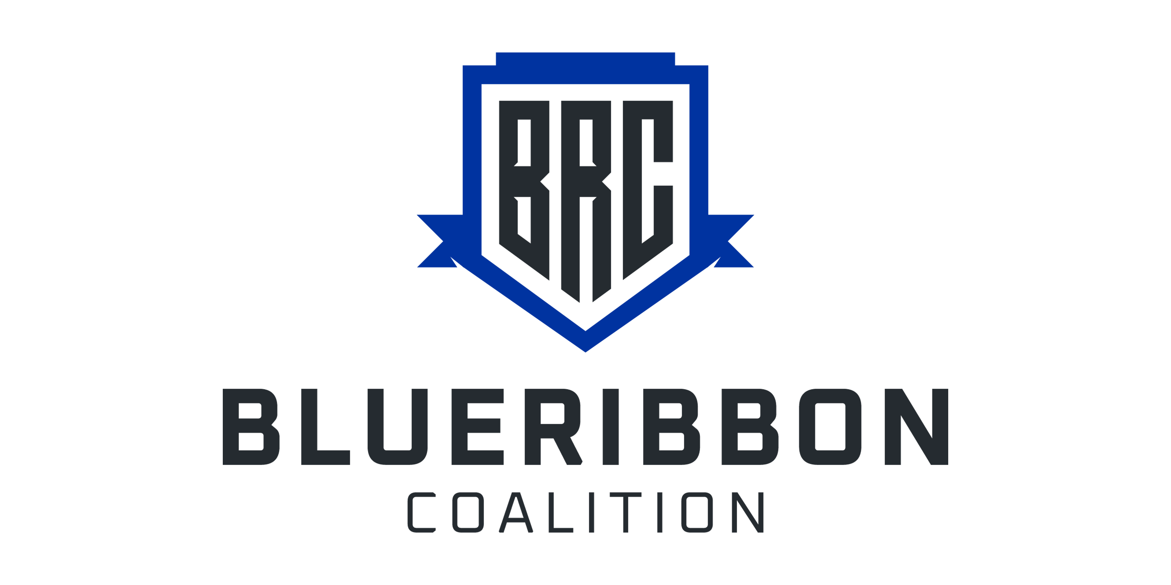 BlueRibbon Coalition logo